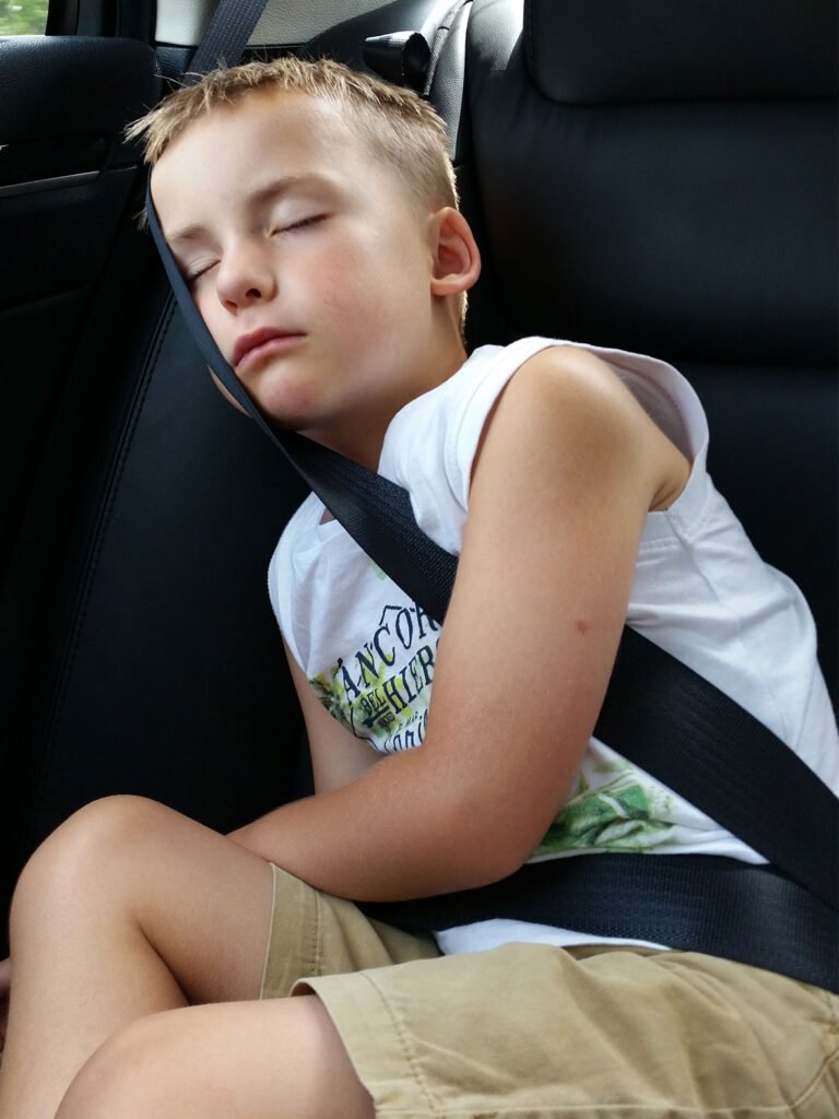 Roadtrip-met-kinderen
