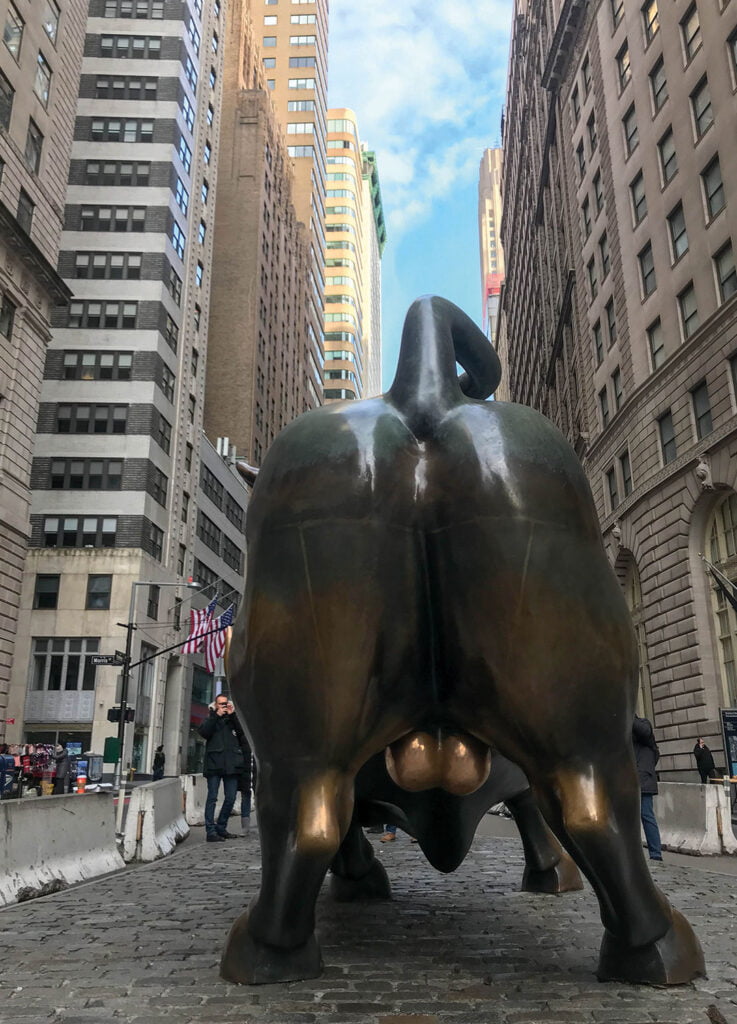 Wandeling-New-York-charging-bull